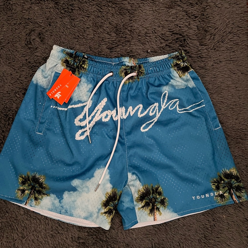 Brand new youngla block party shorts. Size medium.
